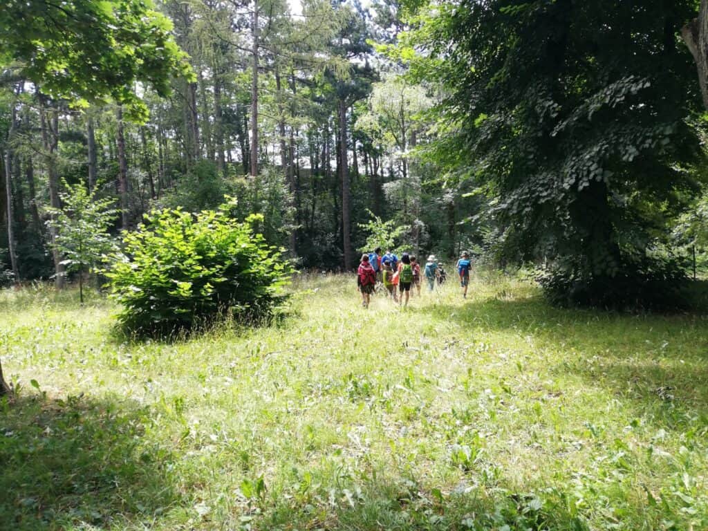 Kinder wandern über eine Wiese zwischen Bäumen